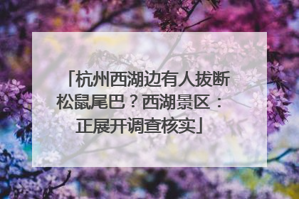 杭州西湖边有人拔断松鼠尾巴？西湖景区：正展开调查核实