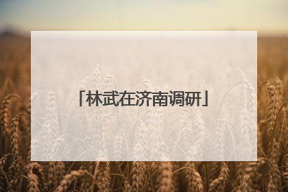 林武在济南调研