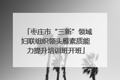 枣庄市“三新”领域妇联组织领头雁素质能力提升培训班开班