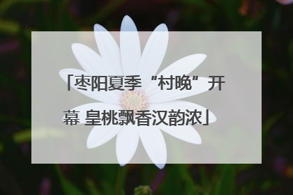 枣阳夏季“村晚”开幕 皇桃飘香汉韵浓