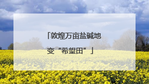 敦煌万亩盐碱地变“希望田”