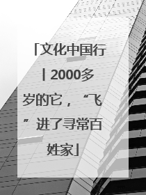 文化中国行丨2000多岁的它，“飞”进了寻常百姓家