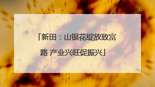 新田：山银花绽放致富路 产业兴旺促振兴