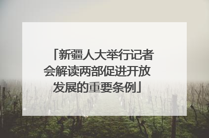 新疆人大举行记者会解读两部促进开放发展的重要条例