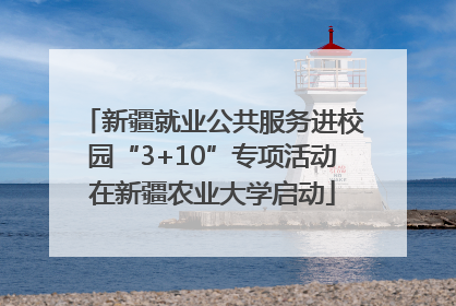 新疆就业公共服务进校园“3+10”专项活动在新疆农业大学启动