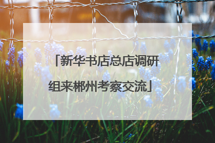 新华书店总店调研组来郴州考察交流