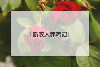 新农人养鸡记