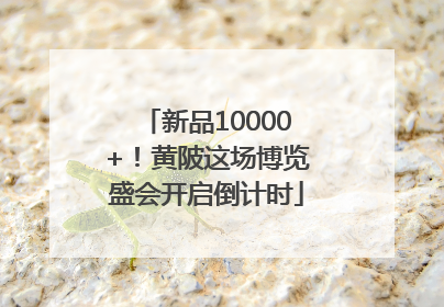 新品10000+！黄陂这场博览盛会开启倒计时