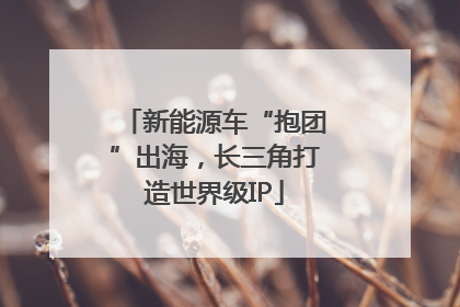 新能源车“抱团”出海，长三角打造世界级IP