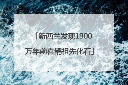 新西兰发现1900万年前喜鹊祖先化石