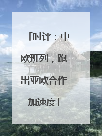 时评：中欧班列，跑出亚欧合作加速度