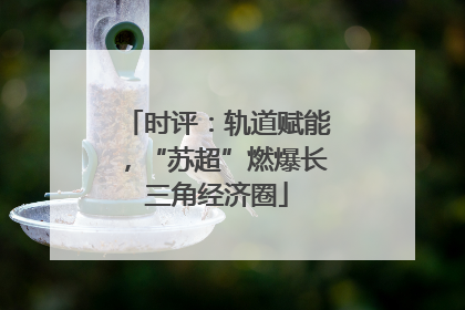 时评：轨道赋能，“苏超”燃爆长三角经济圈