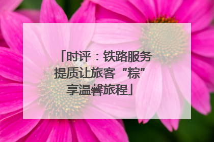 时评：铁路服务提质让旅客“粽”享温馨旅程