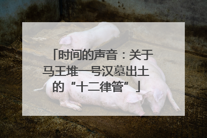 时间的声音：关于马王堆一号汉墓出土的“十二律管”
