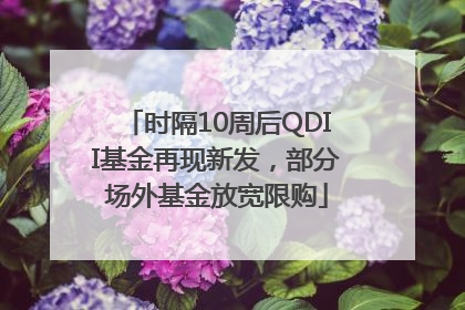 时隔10周后QDII基金再现新发，部分场外基金放宽限购