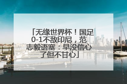 无缘世界杯！国足0-1不敌印尼，范志毅语塞：早没信心了但不甘心