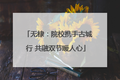 无棣：院校携手古城行 共融双节暖人心