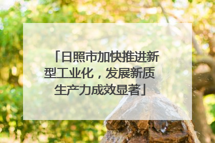 日照市加快推进新型工业化，发展新质生产力成效显著