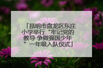 昆明市盘龙区东庄小学举行“牢记党的教导 争做强国少年”一年级入队仪式