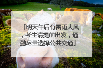 明天午后有雷雨大风，考生请提前出发，通勤尽量选择公共交通