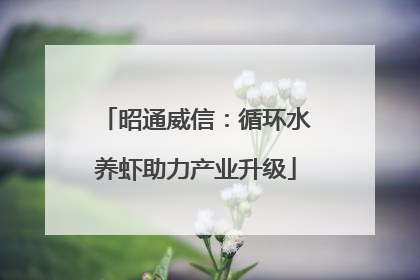昭通威信：循环水养虾助力产业升级