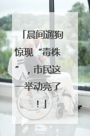 晨间遛狗惊现“毒株”，市民这一举动亮了！