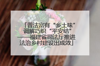 普法富有“乡土味” 调解巧织“平安结”——福建省司法厅推进法治乡村建设出成效