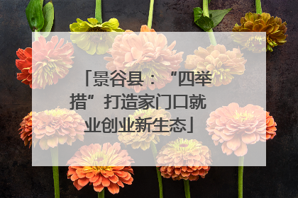 景谷县：“四举措”打造家门口就业创业新生态
