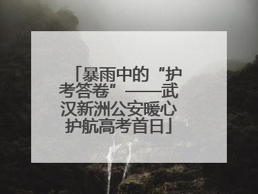 暴雨中的“护考答卷”——武汉新洲公安暖心护航高考首日