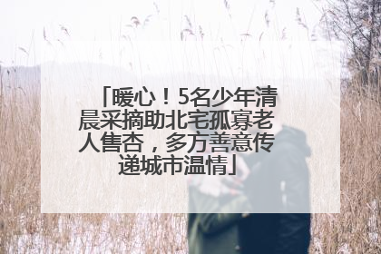 暖心！5名少年清晨采摘助北宅孤寡老人售杏，多方善意传递城市温情