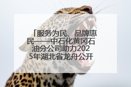 服务为民、品牌惠民——中石化黄冈石油分公司助力2025年湖北省龙舟公开赛（黄冈站）