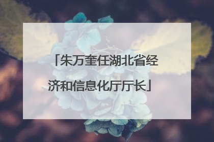 朱万奎任湖北省经济和信息化厅厅长