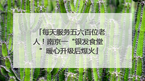每天服务五六百位老人！南京一“银发食堂”暖心升级后爆火