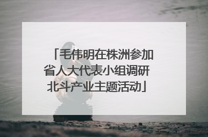毛伟明在株洲参加省人大代表小组调研北斗产业主题活动