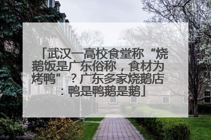 武汉一高校食堂称“烧鹅饭是广东俗称，食材为烤鸭”？广东多家烧鹅店：鸭是鸭鹅是鹅