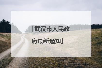 武汉市人民政府最新通知