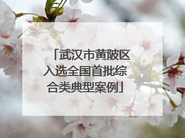 武汉市黄陂区入选全国首批综合类典型案例