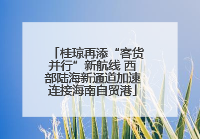 桂琼再添“客货并行”新航线 西部陆海新通道加速连接海南自贸港