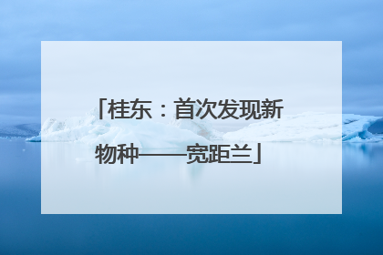 桂东：首次发现新物种——宽距兰