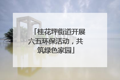桂花坪街道开展六五环保活动，共筑绿色家园