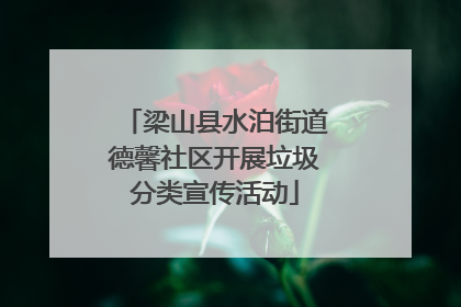 梁山县水泊街道德馨社区开展垃圾分类宣传活动