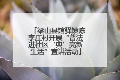 梁山县馆驿镇陈李庄村开展“普法进社区‘典’亮新生活”宣讲活动