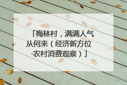 梅林村，满满人气从何来（经济新方位·农村消费观察）