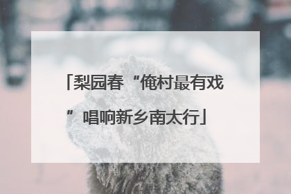 梨园春“俺村最有戏”唱响新乡南太行