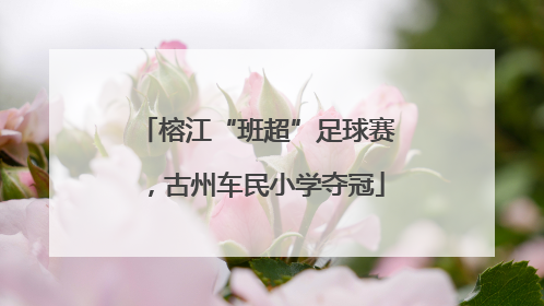 榕江“班超”足球赛，古州车民小学夺冠