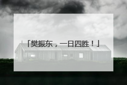 樊振东，一日四胜！