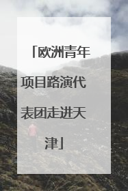 欧洲青年项目路演代表团走进天津