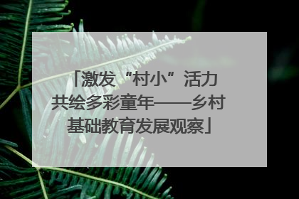 激发“村小”活力 共绘多彩童年——乡村基础教育发展观察