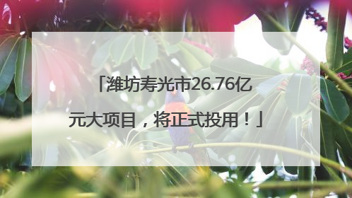 潍坊寿光市26.76亿元大项目，将正式投用！