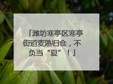 潍坊寒亭区寒亭街道麦熟归仓，不负当“夏”！